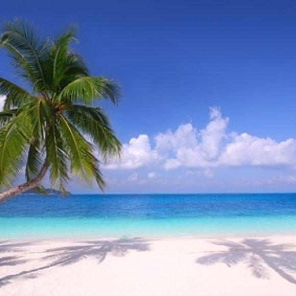 Meet your Posher. - Picture 1 of 1